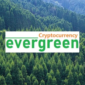 에버그린 Evergreen (정보공유방&대피소🚨)